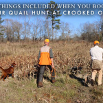8 Things Included When You Book Your Quail Hunt at Crooked Oaks