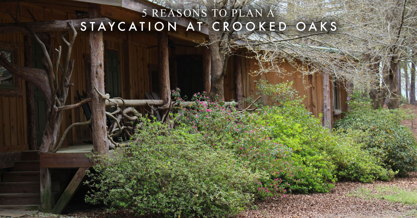 Read more about the article 5 Reasons to Plan a Staycation at Crooked Oaks