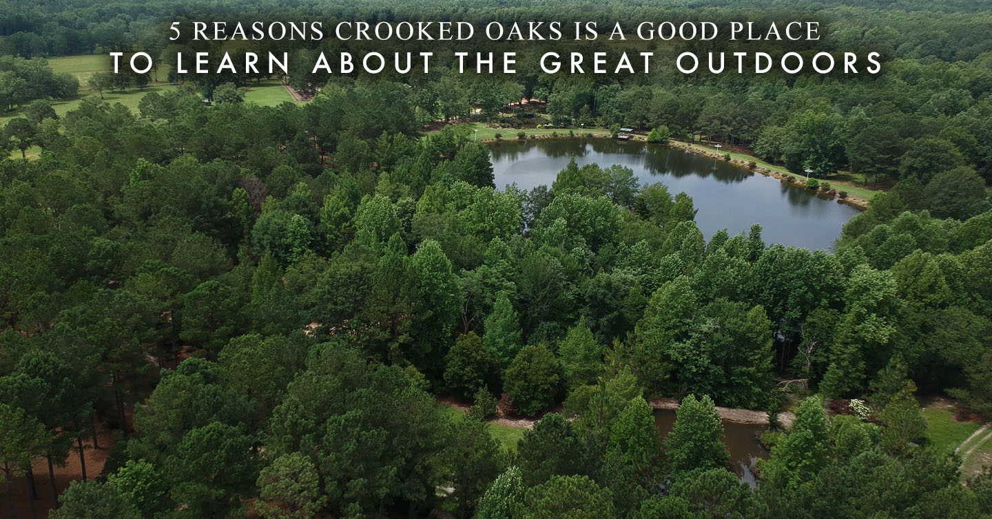 Read more about the article 5 Reasons Crooked Oaks Is a Good Place to Learn About the Great Outdoors